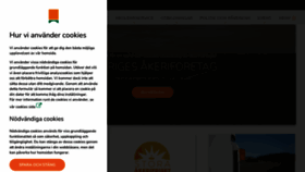 What Akeri.se website looks like in 2024 