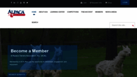 What Alpacainfo.com website looks like in 2024 