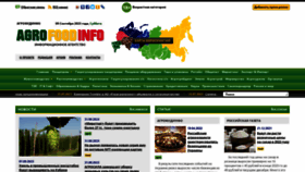 What Agrofoodinfo.com website looks like in 2024 