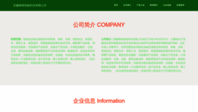What Amghokw.cn website looks like in 2024 