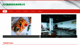 What Amoclzu.cn website looks like in 2024 