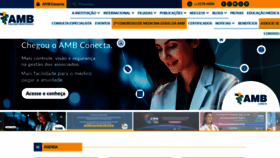What Amb.org.br website looks like in 2024 