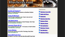 What Blueberry.com website looked like in 2011 (12 years ago)