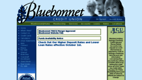 What Bluebonnet.org website looked like in 2012 (12 years ago)