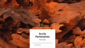 What Bloak.fr website looked like in 2012 (11 years ago)