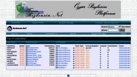 What Bizdensin.net website looked like in 2013 (11 years ago)