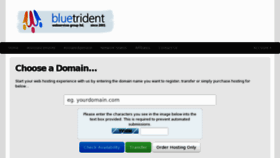 What Bluetrident.net website looked like in 2013 (11 years ago)