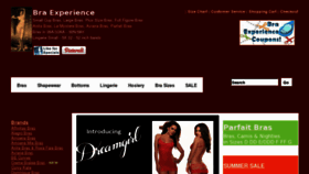 What Braexperience.com website looked like in 2013 (10 years ago)