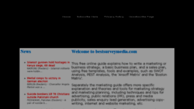 What Bestsurveymedia.com website looked like in 2013 (10 years ago)