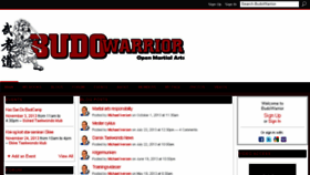 What Budowarrior.com website looked like in 2013 (10 years ago)