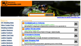 What Buzzooka.com website looked like in 2013 (10 years ago)