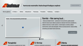 What Budnowa.pl website looked like in 2013 (10 years ago)