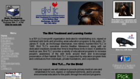 What Birdtlc.net website looked like in 2013 (10 years ago)
