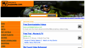 What Buzzooka.com website looked like in 2014 (10 years ago)