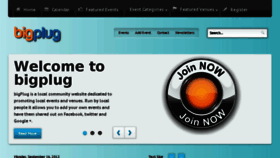 What Bigplug.biz website looked like in 2014 (10 years ago)
