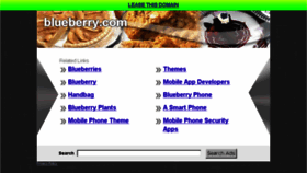 What Blueberry.com website looked like in 2014 (10 years ago)