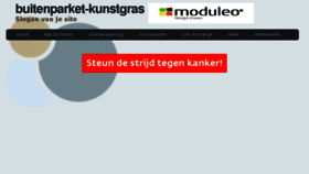 What Buitenparket-kunstgras.rtlplaza.nl website looked like in 2014 (10 years ago)