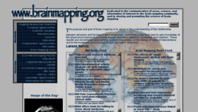 What Brainmapping.org website looked like in 2014 (9 years ago)
