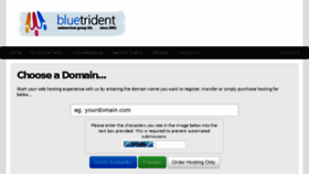 What Bluetrident.net website looked like in 2014 (9 years ago)