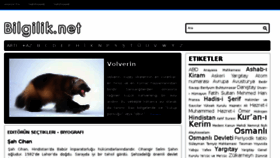 What Bilgilik.net website looked like in 2015 (9 years ago)