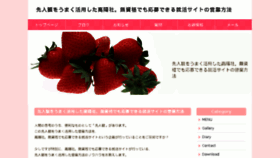 What Baitek.net website looked like in 2015 (10 years ago)