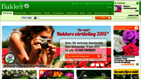 What Bakker.se website looked like in 2015 (9 years ago)
