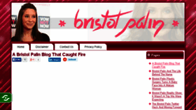What Bristolpalin.net website looked like in 2015 (8 years ago)