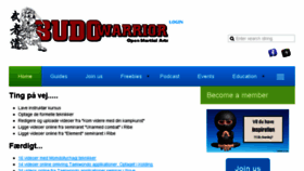 What Budowarrior.com website looked like in 2015 (8 years ago)