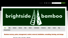 What Brightsidebamboo.com website looked like in 2015 (8 years ago)