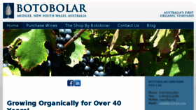 What Botobolar.com website looked like in 2015 (8 years ago)