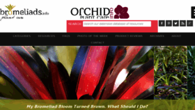 What Bromeliads.info website looked like in 2016 (8 years ago)