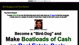 What Birddoggingopportunity.com website looked like in 2016 (8 years ago)
