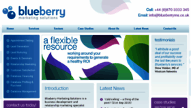 What Blueberryms.co.uk website looked like in 2016 (8 years ago)