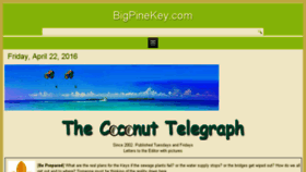 What Bigpinekey.com website looked like in 2016 (8 years ago)