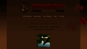 What Brayberry.net website looked like in 2016 (7 years ago)