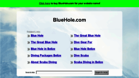 What Bluehole.com website looked like in 2016 (7 years ago)