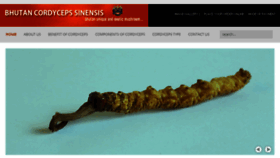 What Bhutanwildcordyceps.com website looked like in 2016 (7 years ago)