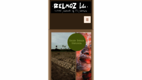 What Belmoz.com website looked like in 2016 (7 years ago)