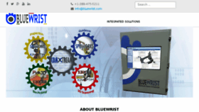 What Bluewrist.com website looked like in 2016 (8 years ago)
