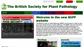 What Bspp.org.uk website looked like in 2016 (7 years ago)