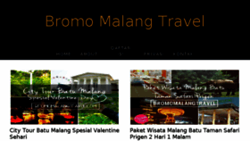 What Bromomalangtravel.com website looked like in 2016 (7 years ago)
