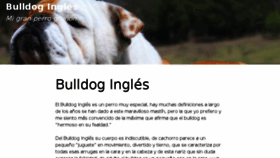 What Bulldog.com.co website looked like in 2016 (7 years ago)