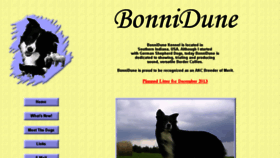 What Bonnidune.com website looked like in 2016 (7 years ago)