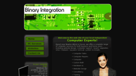What Binaryintegration.net website looked like in 2016 (7 years ago)