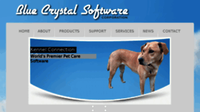 What Bluecrystalsoftware.com website looked like in 2016 (7 years ago)