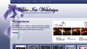 What Blueiriswebdesign.com website looked like in 2016 (7 years ago)