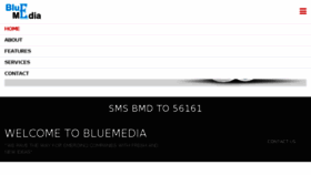 What Bluemedia.in website looked like in 2016 (7 years ago)
