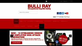 What Bulliray.com website looked like in 2016 (7 years ago)