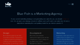 What Bluefishds.com website looked like in 2016 (7 years ago)