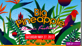 What Bigpineapplemusicfestival.com website looked like in 2016 (7 years ago)